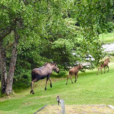 Halcyon Heights B&B/Inn Homer Eksteriør bilde